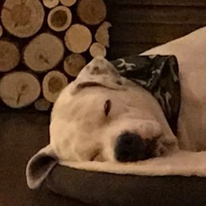 Meet your Posher, Pamela